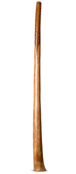 Jesse Lethbridge Didgeridoo (JL119) 
